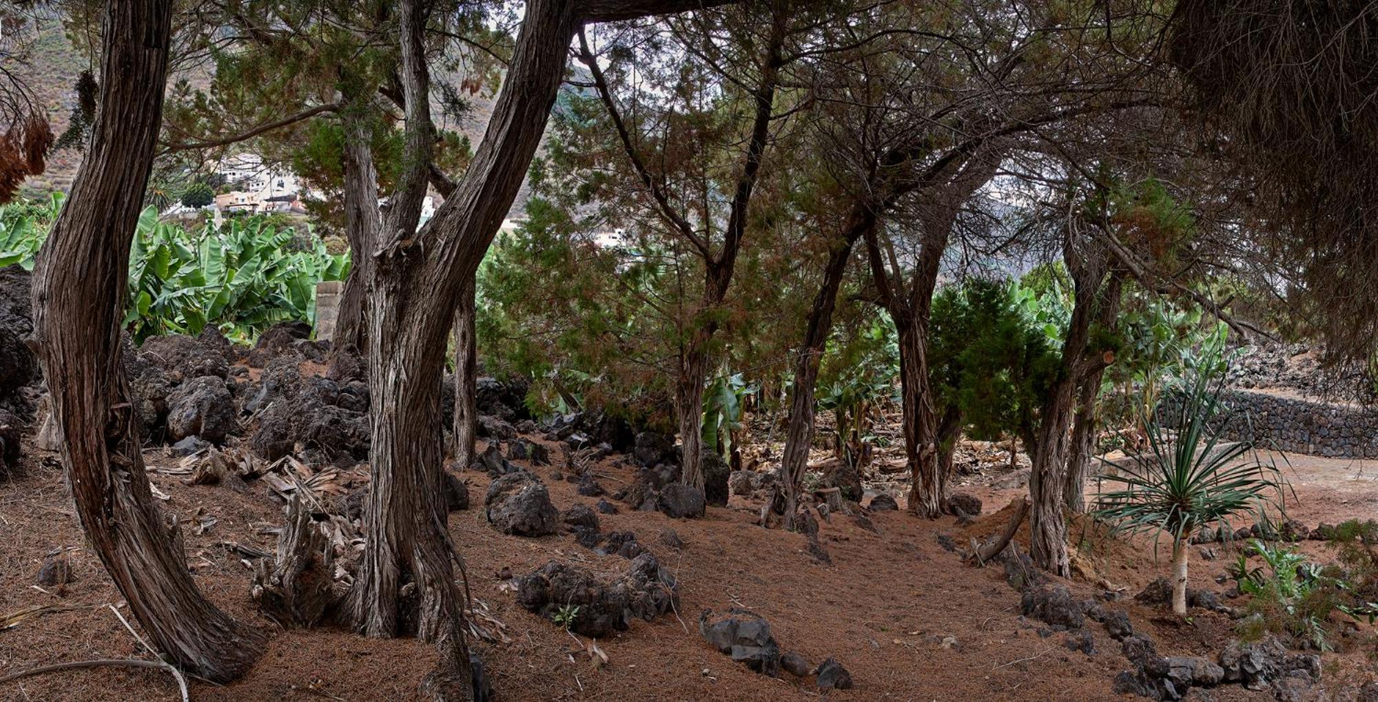 Las Sabinas Villa - El Guincho, Garachico Garachico  Zewnętrze zdjęcie