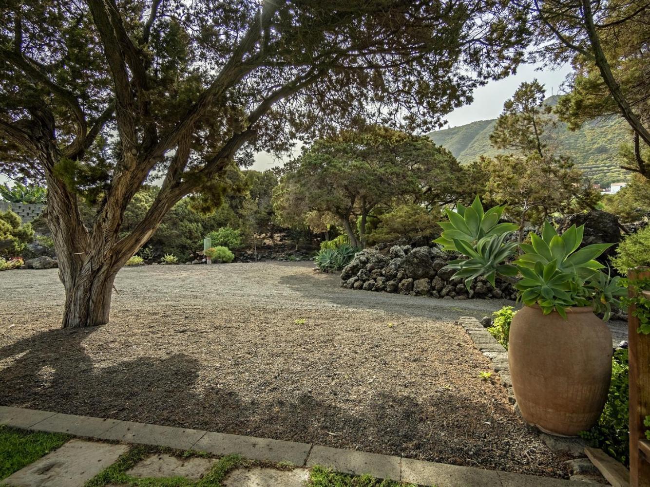 Las Sabinas Villa - El Guincho, Garachico Garachico  Zewnętrze zdjęcie